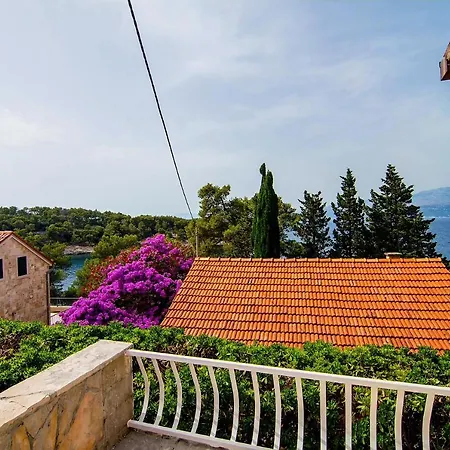 بيت للعطل House *